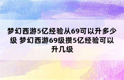 梦幻西游5亿经验从69可以升多少级 梦幻西游69级攒5亿经验可以升几级